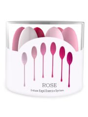 Censan Rose 6'lı Kegel Egzersiz Topu