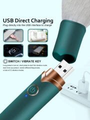 USB Şarj Edilebilir 10 Hızlı Silikon Makyaj Fırçası
